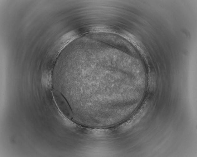 X0000112420897200909251514