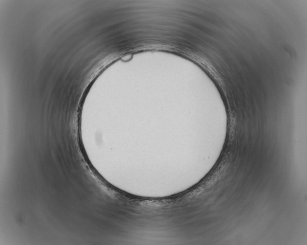 X0000112420898200909251514