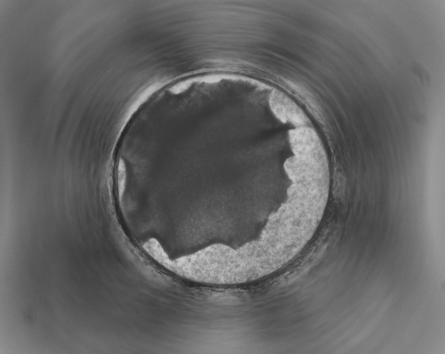 X0000112420899200909251514