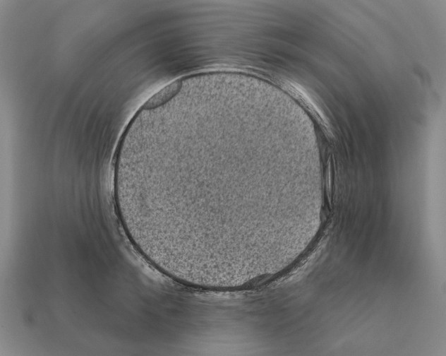 X0000112420900200909251514