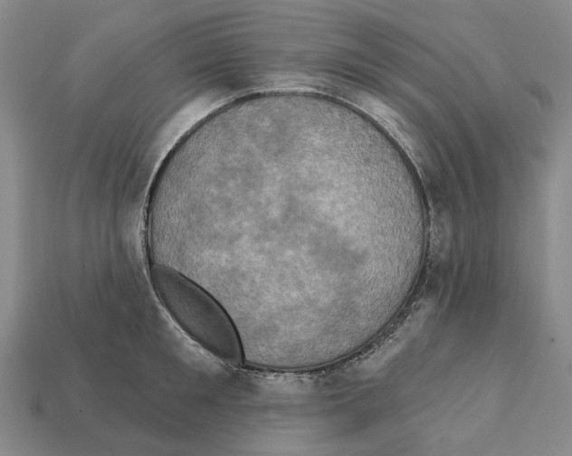 X0000112420901200909251514