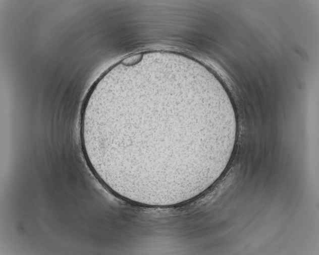 X0000112420902200909251514