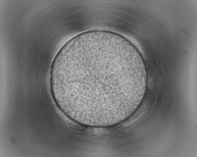 X0000112420903200909251514