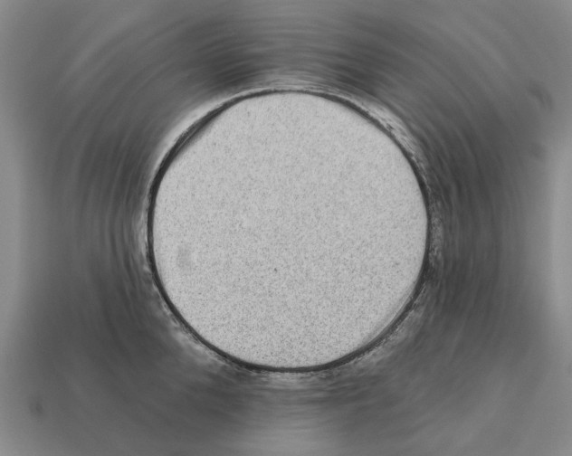 X0000112420904200909251514