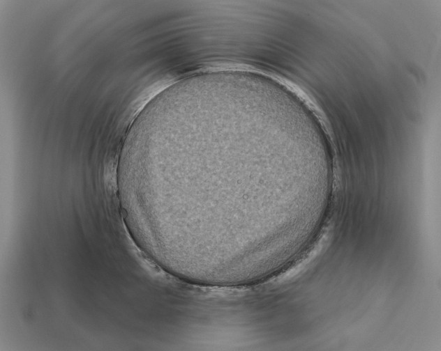 X0000112420905200909251514