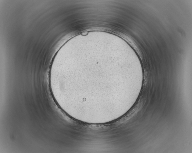 X0000112420906200909251514