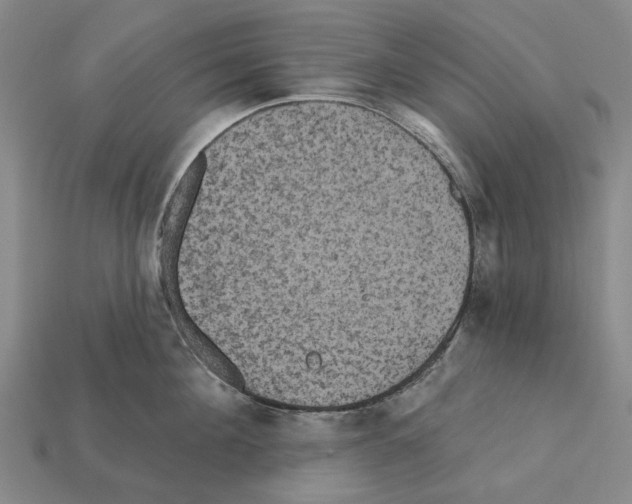 X0000112420908200909251514