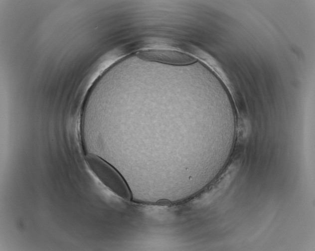 X0000112420909200909251514