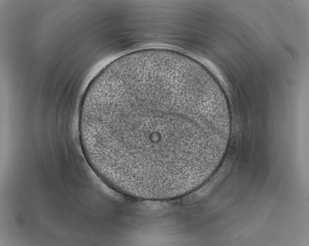 X0000112420910200909251514