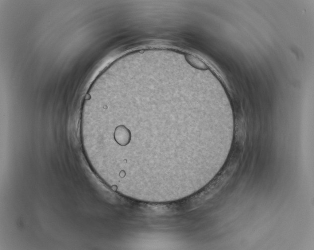 X0000112420911200909251514