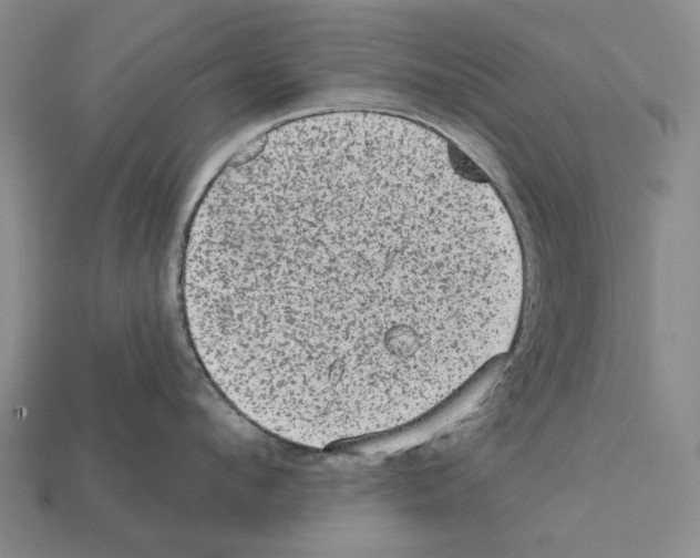 X0000112420912200909251514