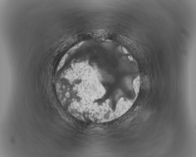 X0000112420913200909251513