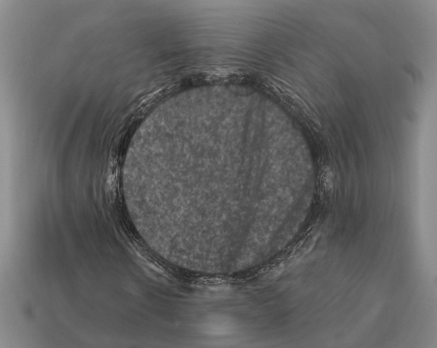 X0000112420914200909251513