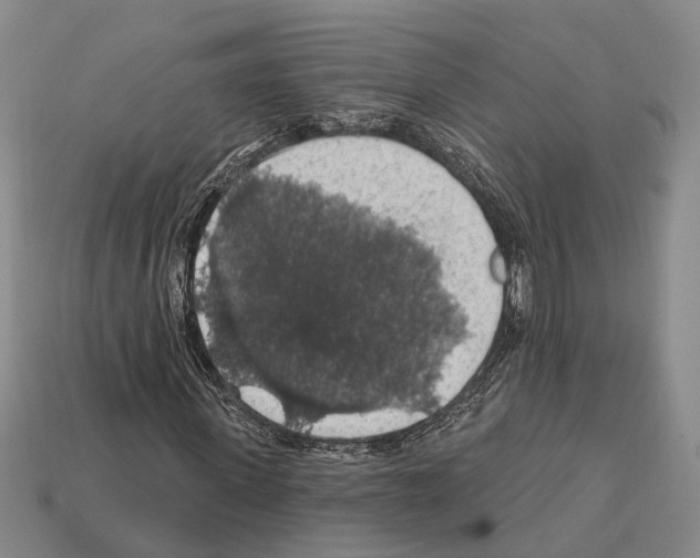 X0000112420915200909251513