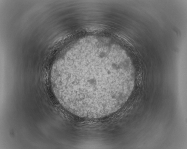 X0000112420917200909251513