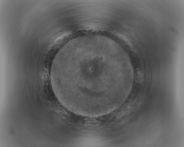 X0000112420918200909251513