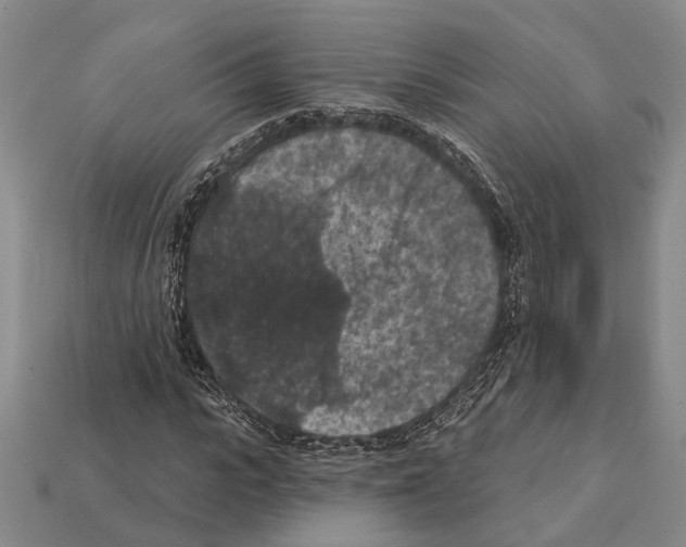 X0000112420919200909251513