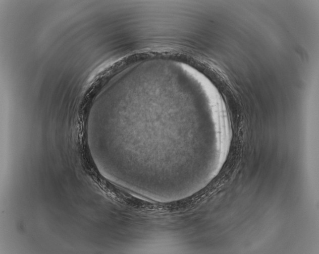 X0000112420920200909251513