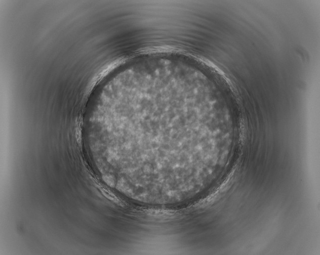 X0000112420921200909251513