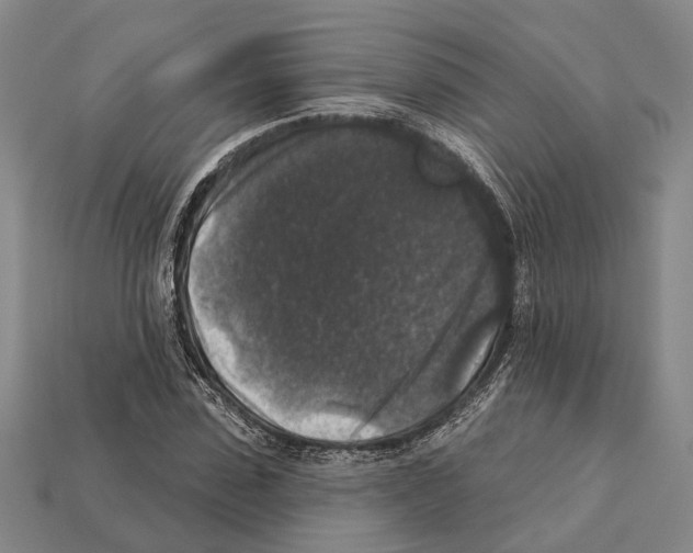 X0000112420923200909251513