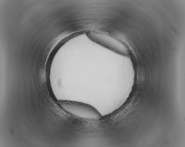 X0000112420924200909251513