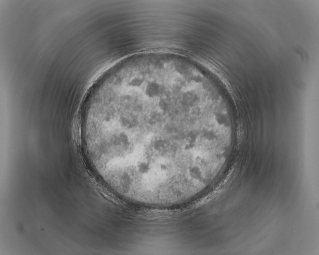 X0000112420925200909251513