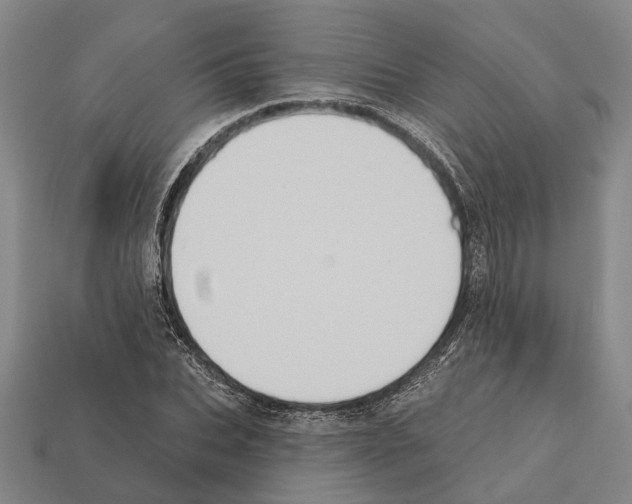 X0000112420927200909251513