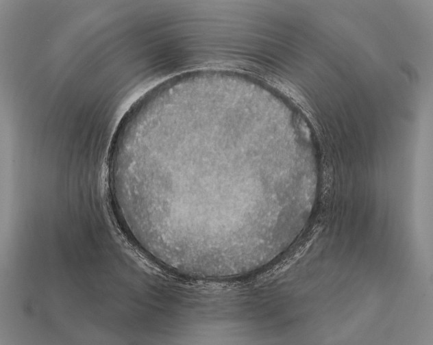 X0000112420928200909251513