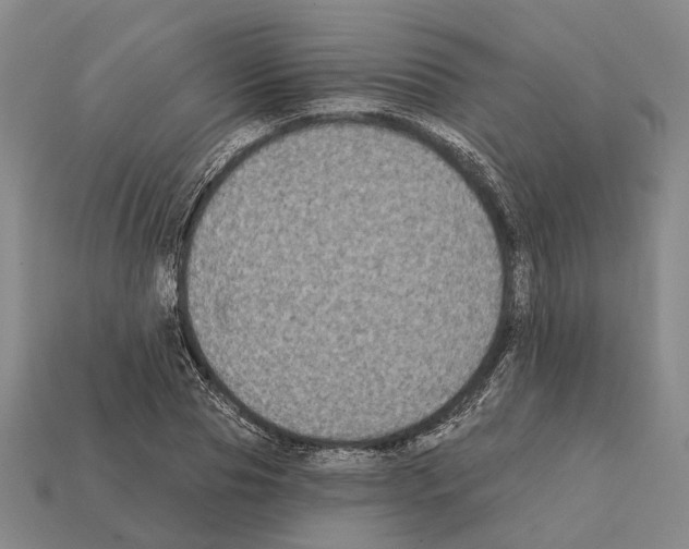 X0000112420929200909251513