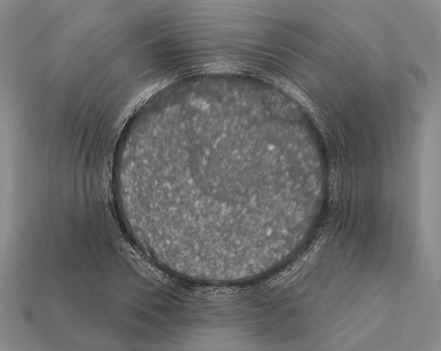 X0000112420930200909251513