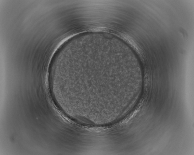 X0000112420932200909251513