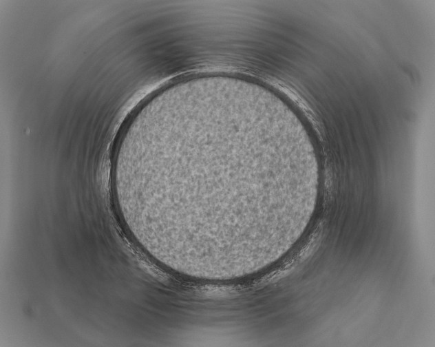 X0000112420933200909251513