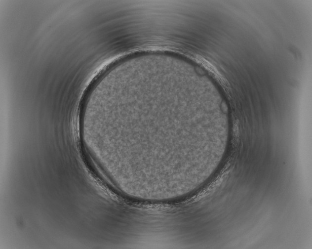 X0000112420934200909251513