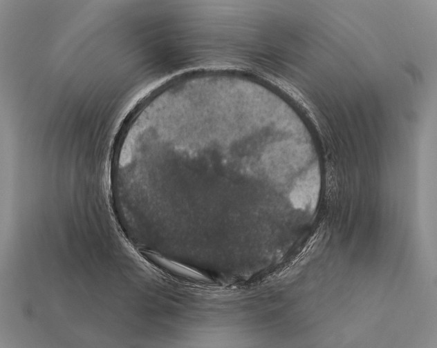 X0000112420935200909251513