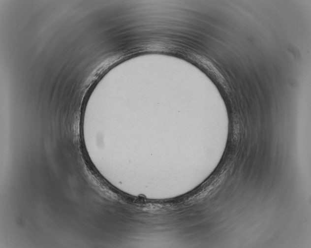 X0000112420938200909251513