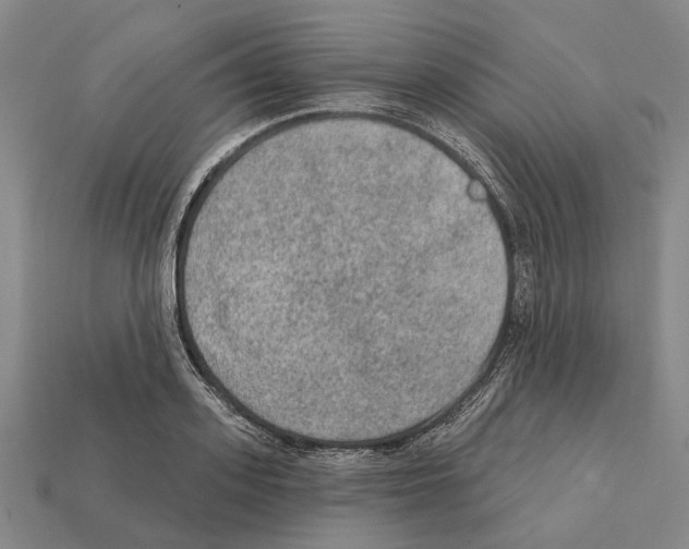 X0000112420939200909251513