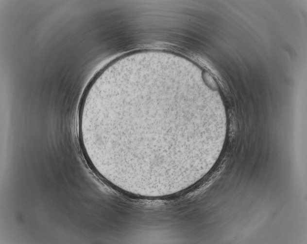 X0000112420940200909251513