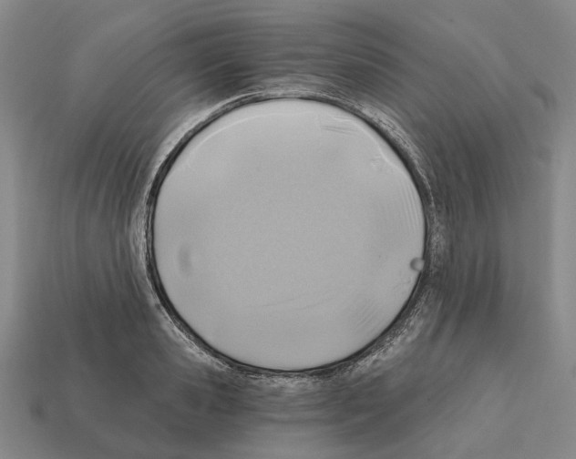 X0000112420941200909251513