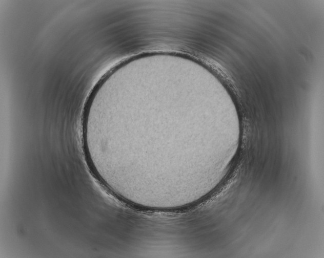 X0000112420942200909251513