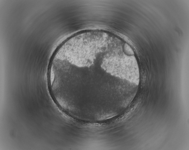 X0000112420943200909251513