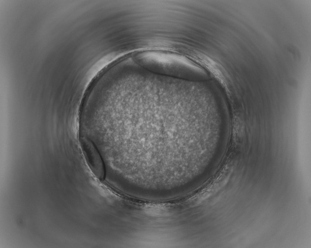 X0000112420944200909251513