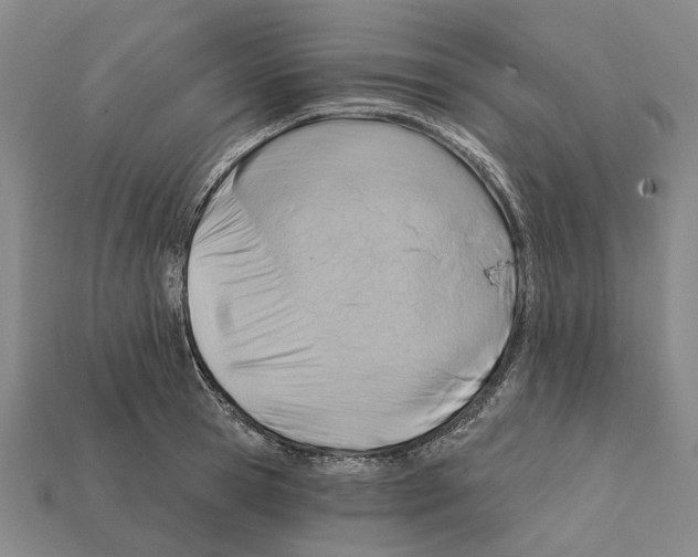 X0000112420945200909251513