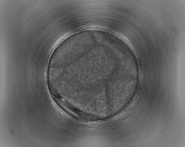 X0000112420946200909251513