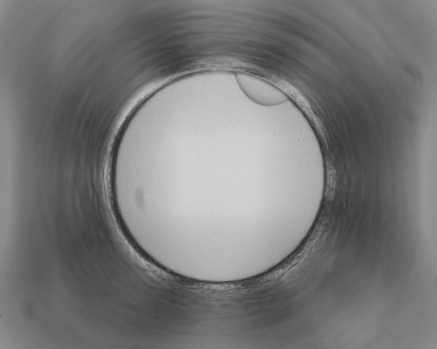 X0000112420947200909251513