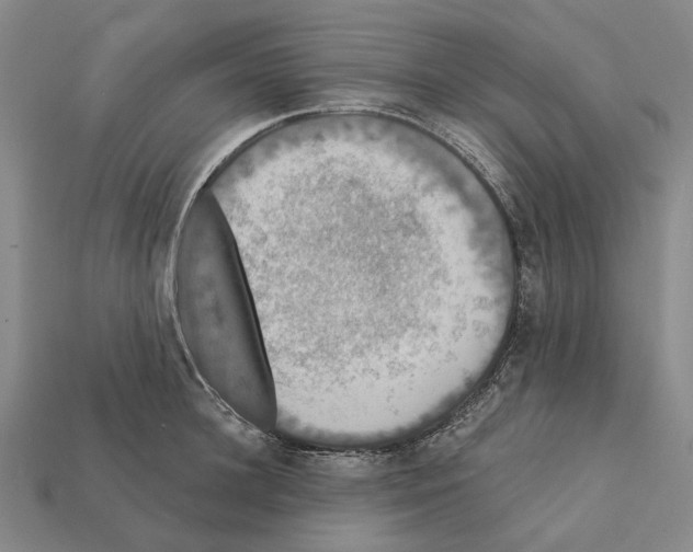 X0000112420948200909251513