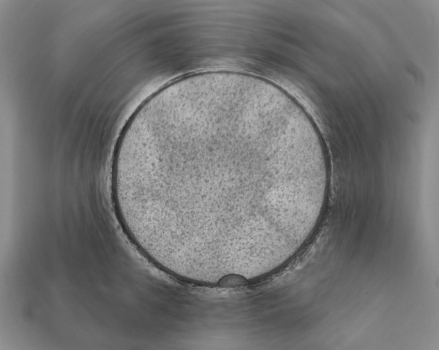 X0000112420949200909251513