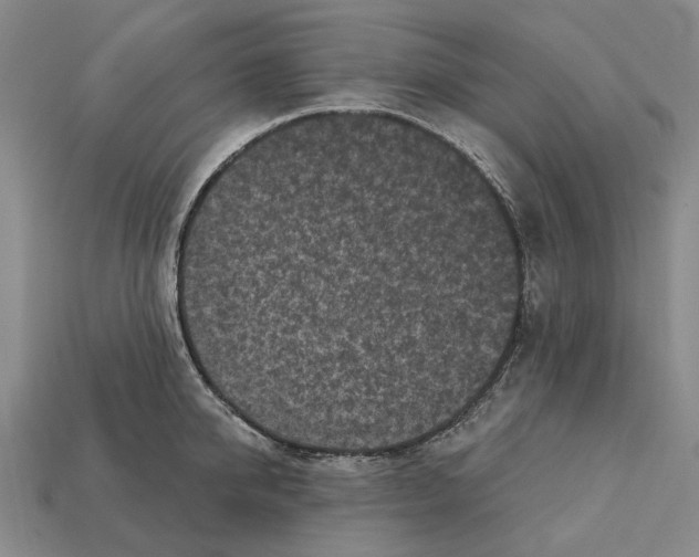 X0000112420950200909251513