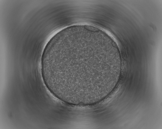 X0000112420951200909251513