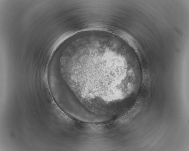 X0000112420952200909251513