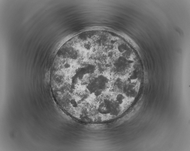 X0000112420953200909251513